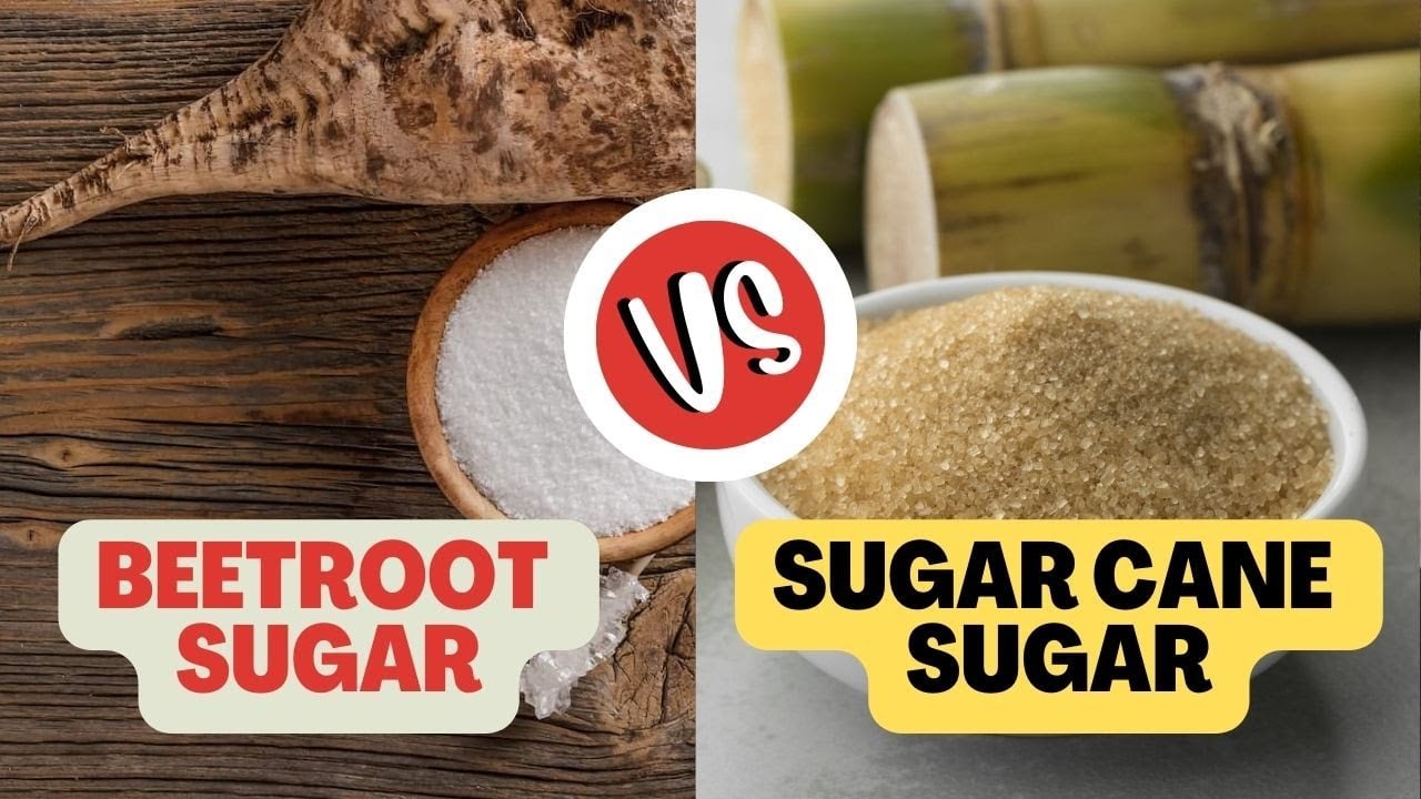 Beetroot Sugar Vs. Sugar Cane Sugar | Food Processing Technology | Food Science and Technology