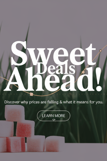 Global Sugar Prices Drop Amid Ample Supply and Weak Demand