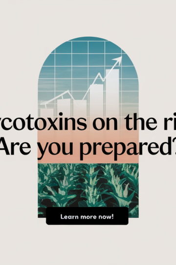 Climate Change Fuels Rising Mycotoxin Risks