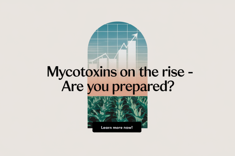 Climate Change Fuels Rising Mycotoxin Risks