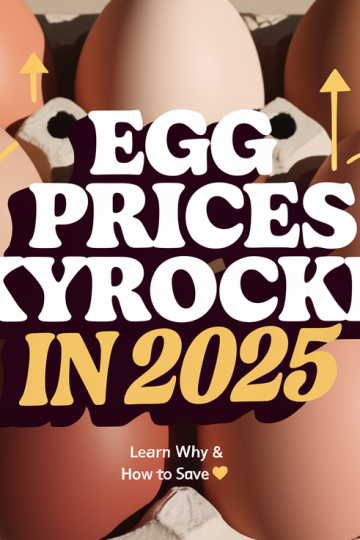 Food Prices Rise as Egg Costs Soar in 2025