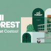 Chi Forest Expands to U.S. with Costco Deal