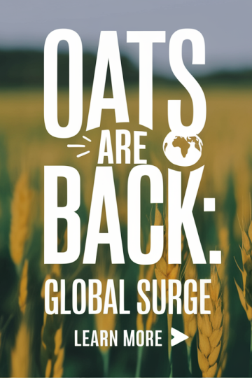 Global Oat Production Rebounds in 2024