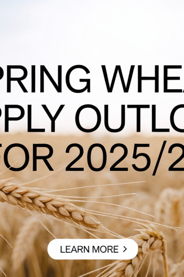 Spring Wheat Supply Outlook for 2025/26