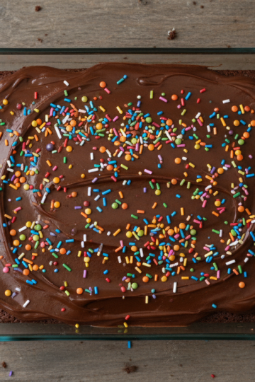 Chocolate sheet cake with chocolate frosting and sprinkles in a 9x13 pan